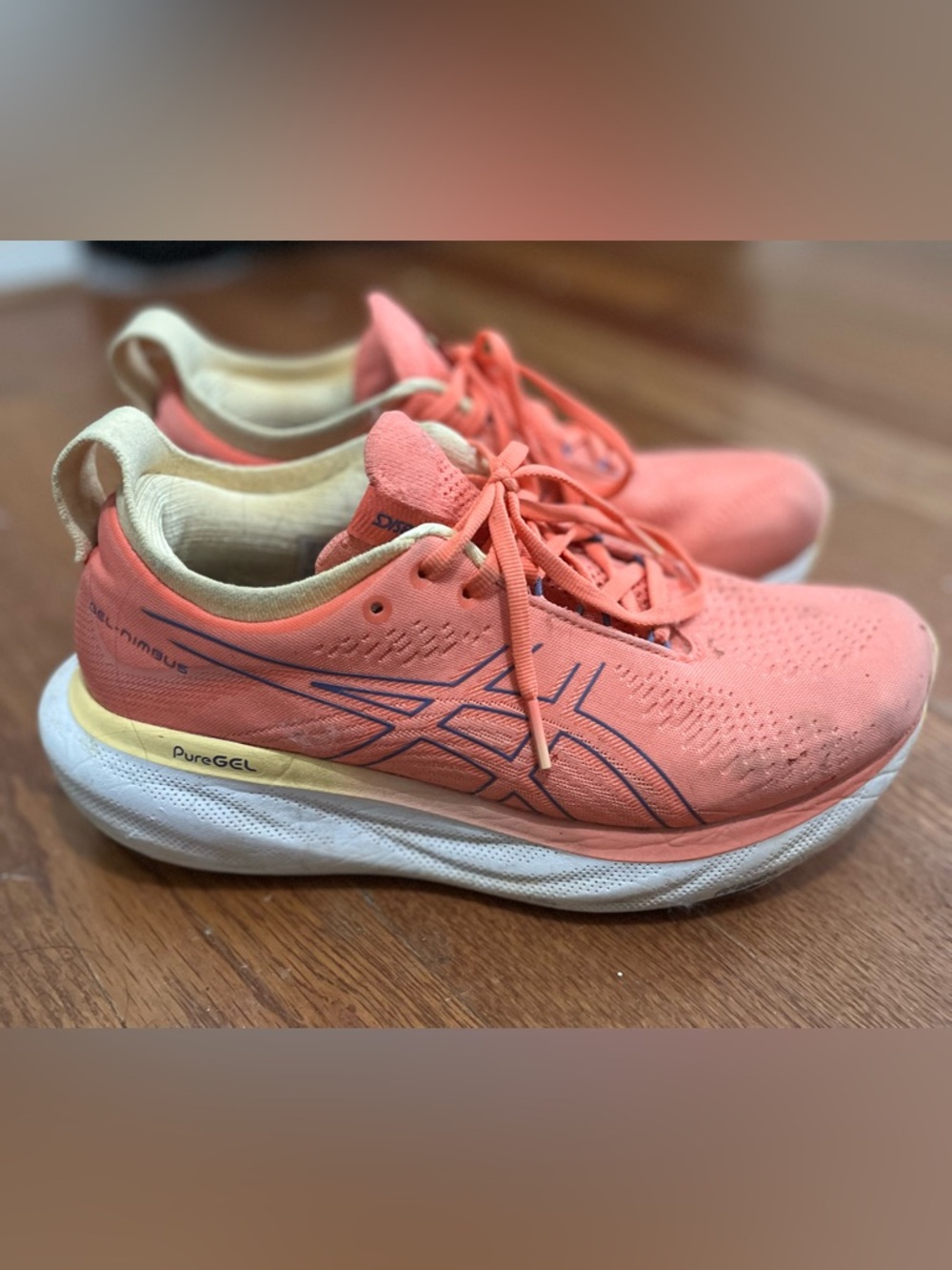 ASICS Gel Nimbus 25